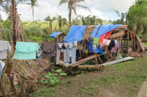 Ramshackle shelters along the road to Basey (with courtesy of Alvina Lee, Hong Kong)
